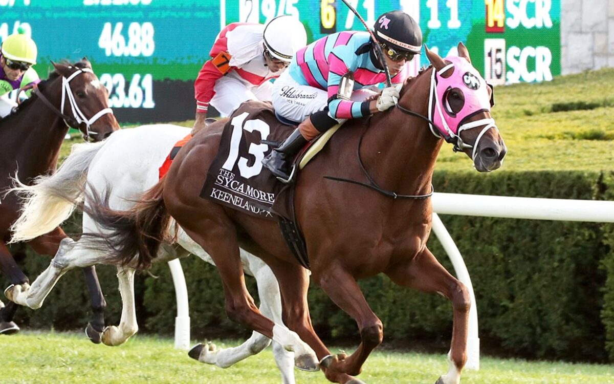 Lambeth - Sycamore Stakes G2T - Keeneland - Coady Media