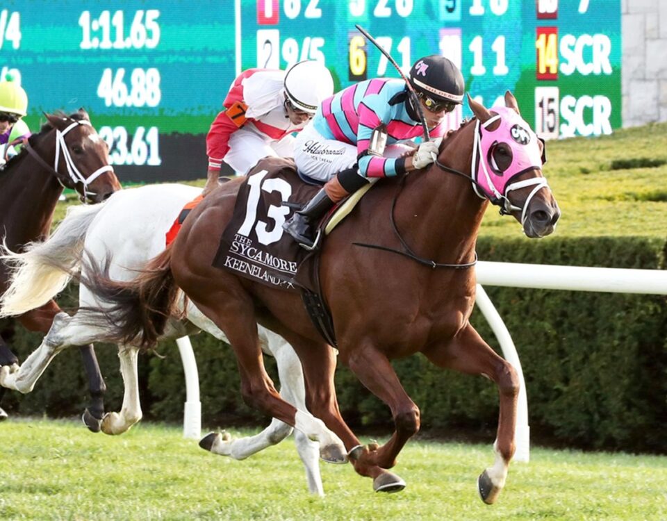 Lambeth - Sycamore Stakes G2T - Keeneland - Coady Media