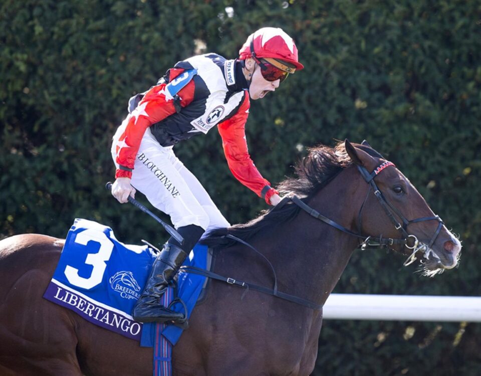 Libertango (Ire) - Breeders' Cup Juvenile Turf Sprint G1 2026 - Keeneland- Barbara D. Livingston - Daily Racing Form