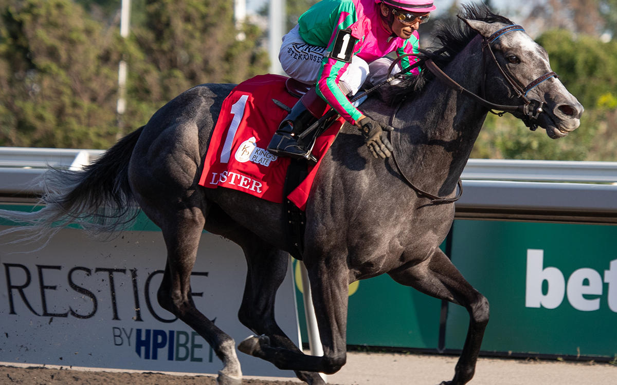 Luster - King's Plate - Julie Wright - Daily Racing Form
