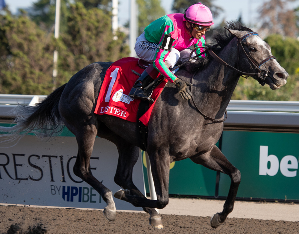 Luster - King's Plate - Julie Wright - Daily Racing Form