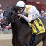 Mashallah - Barbara D. Livingston - Daily Racing Form