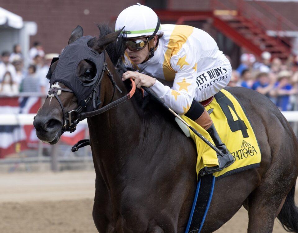 Mashallah - Barbara D. Livingston - Daily Racing Form
