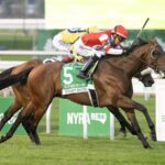 Minaret Station - Joe Hirsch Turf Classic G1 - Barbara D. Livingston - Daily Racing Form