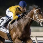 Mister Omaha - Remington Park- Oklahoma Classic 2025 - Barbara D. Livingston - Daily Racing Form
