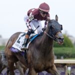 Nitrogen - Breeders' Cup Distaff G1 2026 - Keeneland - Barbara D. Livingston - Daily Racing Form