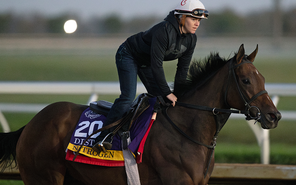Breeders' Cup Distaff contender - Barbara D. Livingston, Daily Racing Form