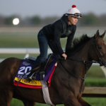 Breeders' Cup Distaff contender - Barbara D. Livingston, Daily Racing Form
