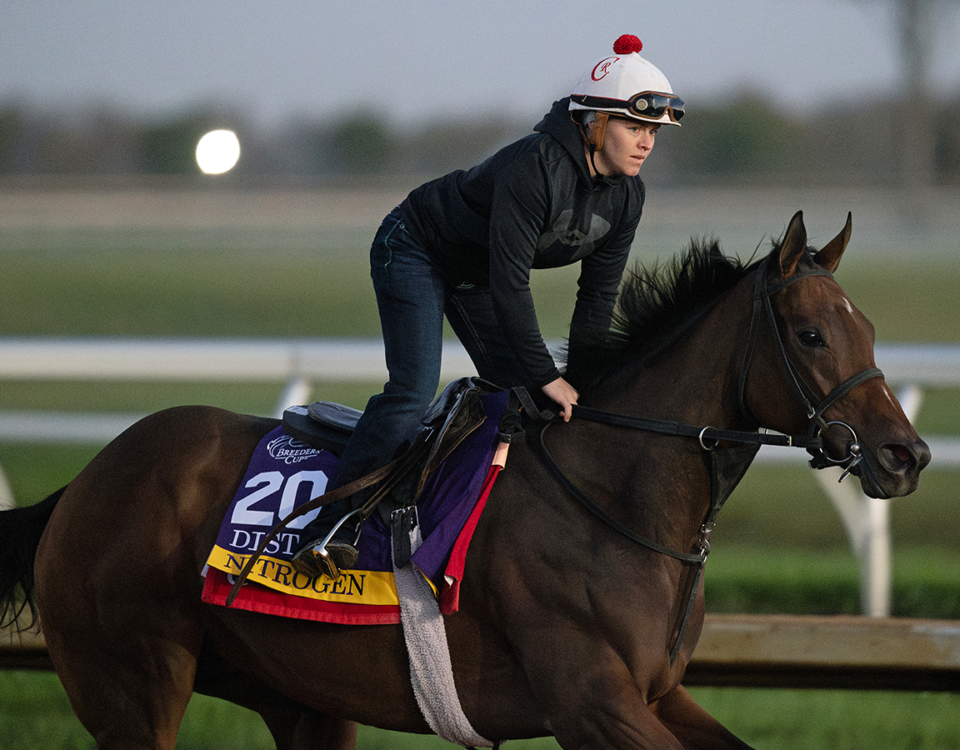Breeders' Cup Distaff contender - Barbara D. Livingston, Daily Racing Form