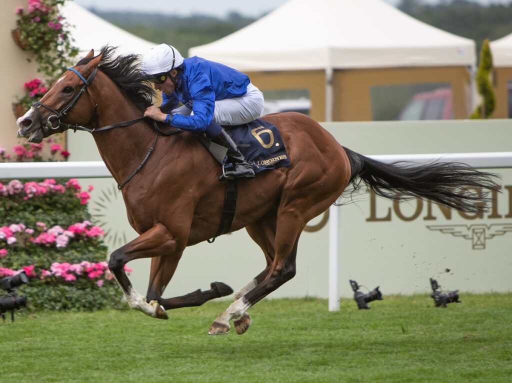 Ombudsman - Prince of Wales's Stakes G1 - Royal Ascot - Julie Wright - Daily Racing Form