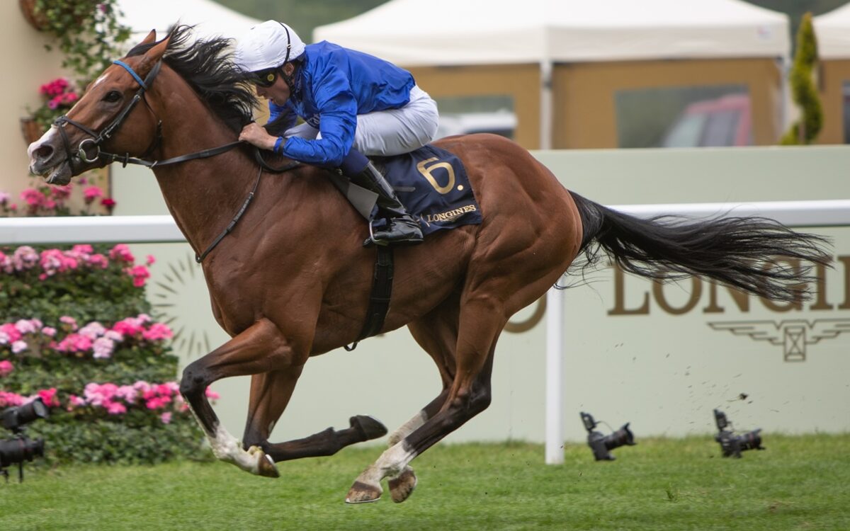 Ombudsman - Prince of Wales's Stakes G1 - Royal Ascot - Julie Wright - Daily Racing Form