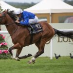 Ombudsman - Prince of Wales's Stakes G1 - Royal Ascot - Julie Wright - Daily Racing Form