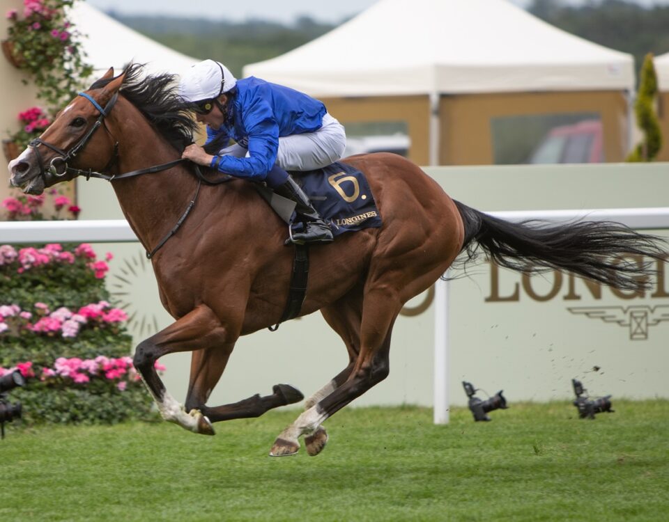 Ombudsman - Prince of Wales's Stakes G1 - Royal Ascot - Julie Wright - Daily Racing Form
