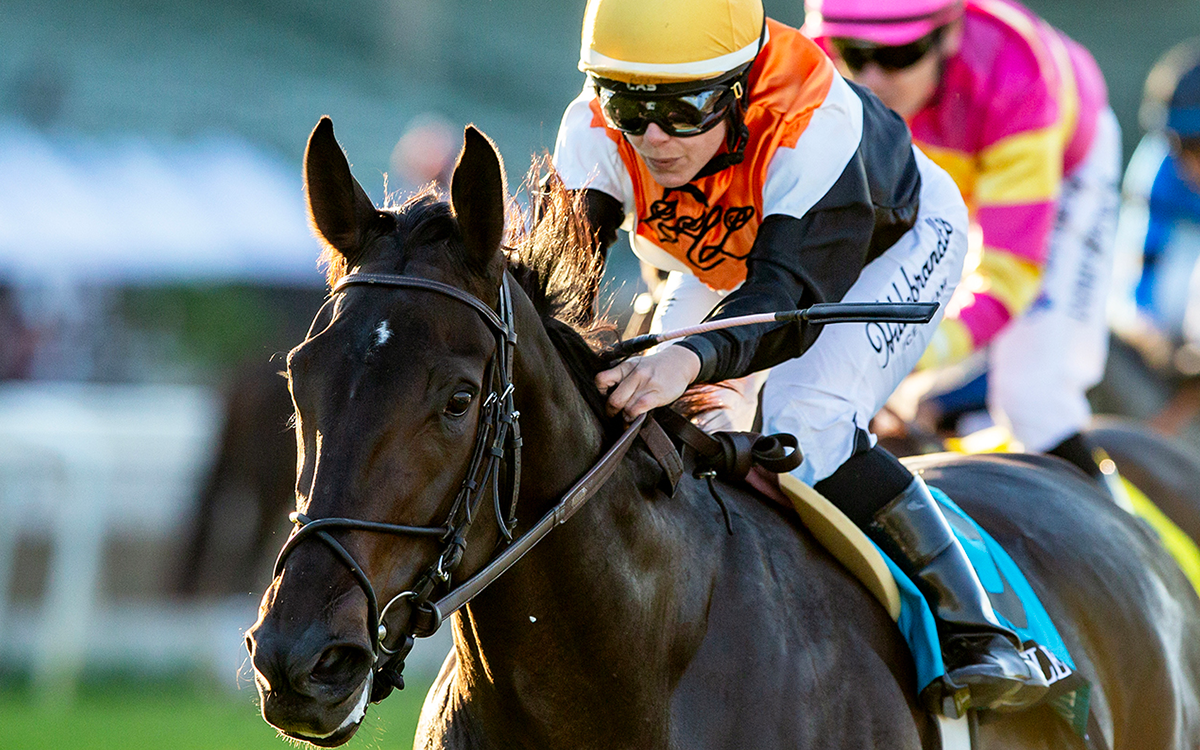 People Watching - Autumn Miss G3, Santa Anita Park - Benoit Photo