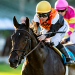 People Watching - Autumn Miss G3, Santa Anita Park - Benoit Photo