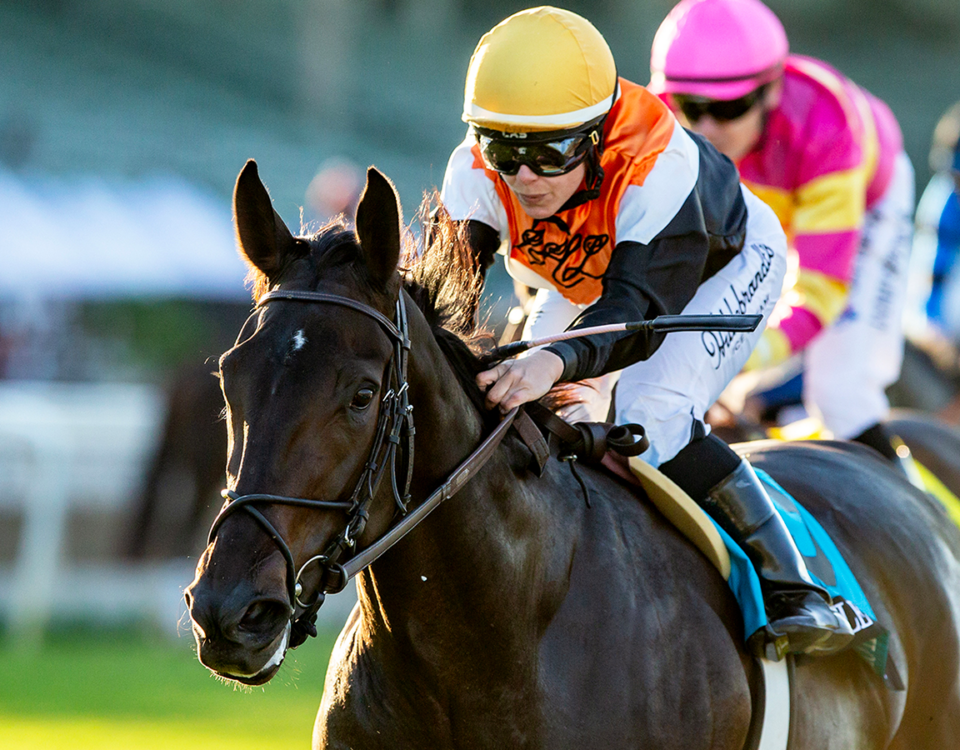 People Watching - Autumn Miss G3, Santa Anita Park - Benoit Photo