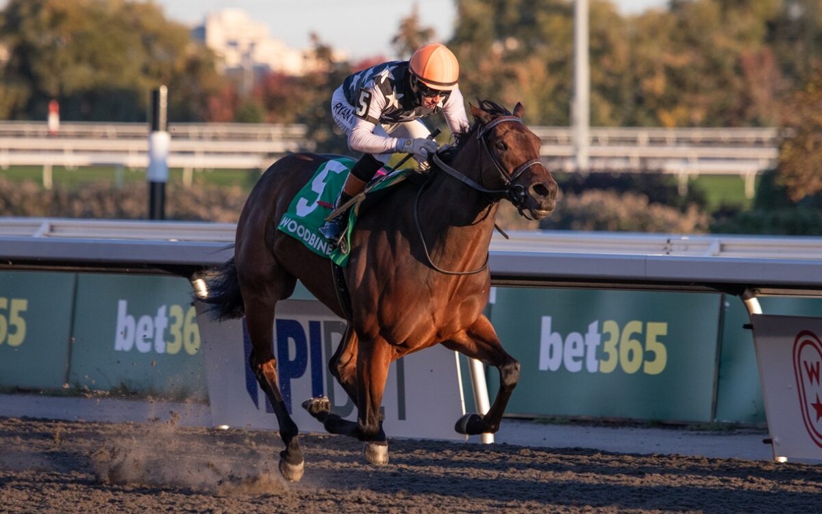 Quadruple - Ontario Fashion G3 - Woodbine - Julie Wright - Daily Racing Form