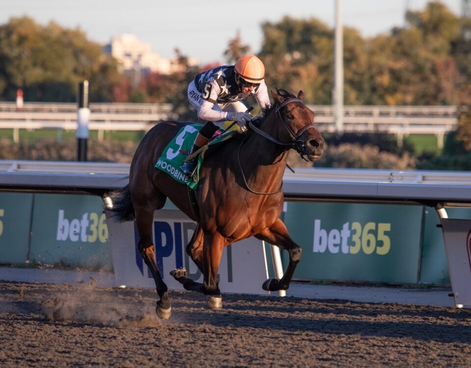 Quadruple - Ontario Fashion G3 - Woodbine - Julie Wright - Daily Racing Form