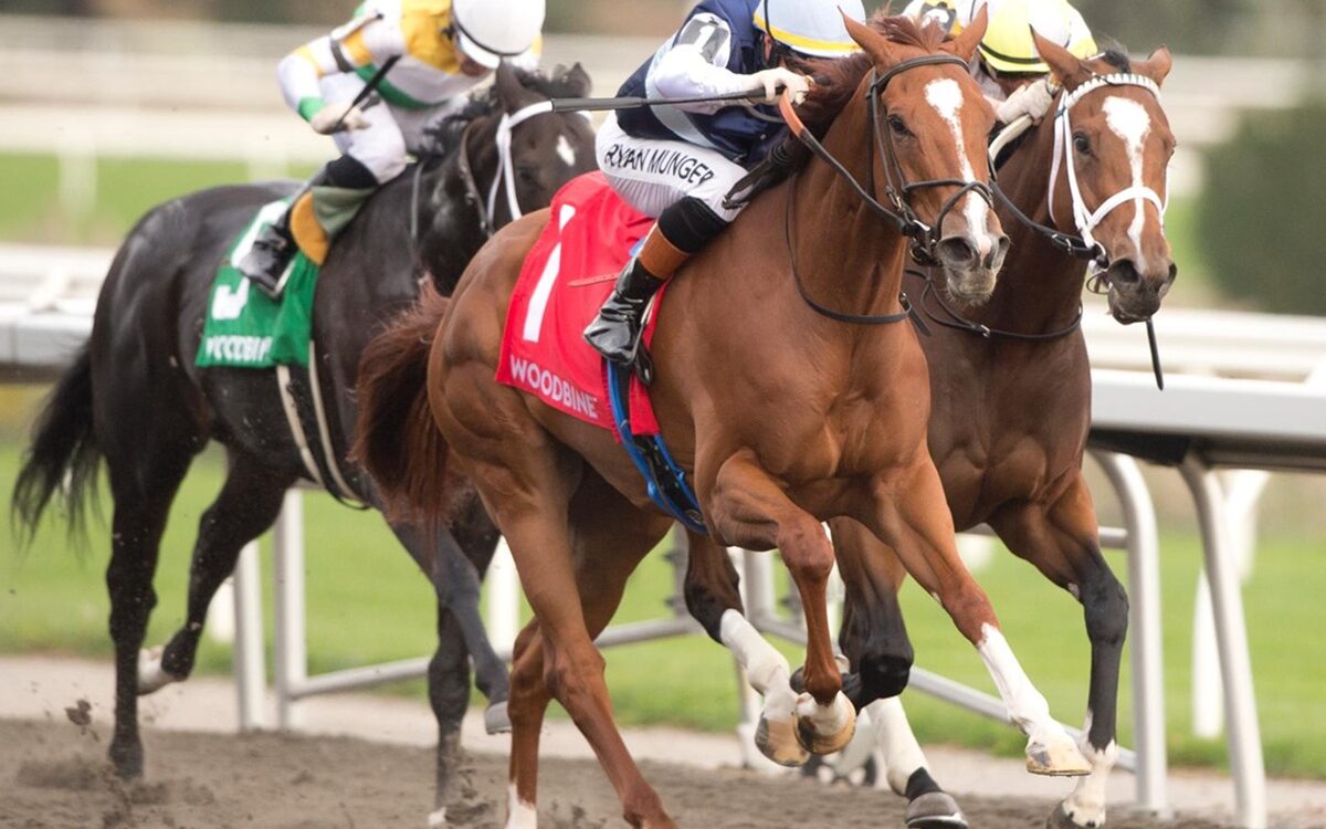 Raiding Party (Ire) - Ontario Damsel Stakes - Woodbine - Michael Burns