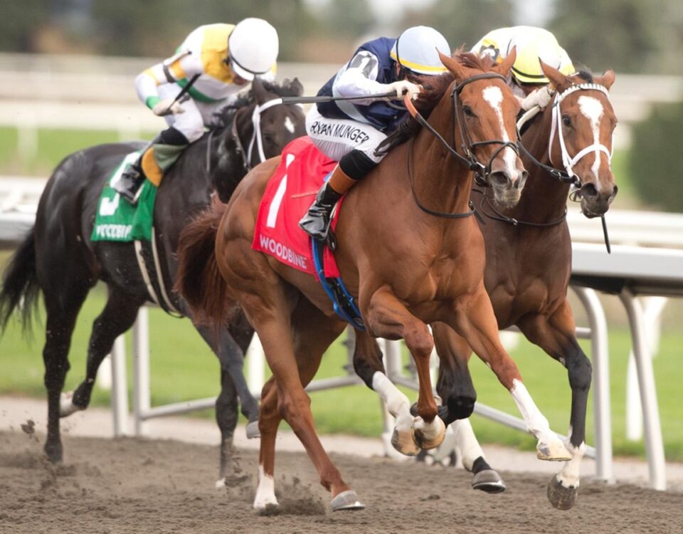 Raiding Party (Ire) - Ontario Damsel Stakes - Woodbine - Michael Burns