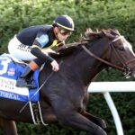 Rhetorical - Coolmore Turf Mile G1 - Keeneland - Coady Media