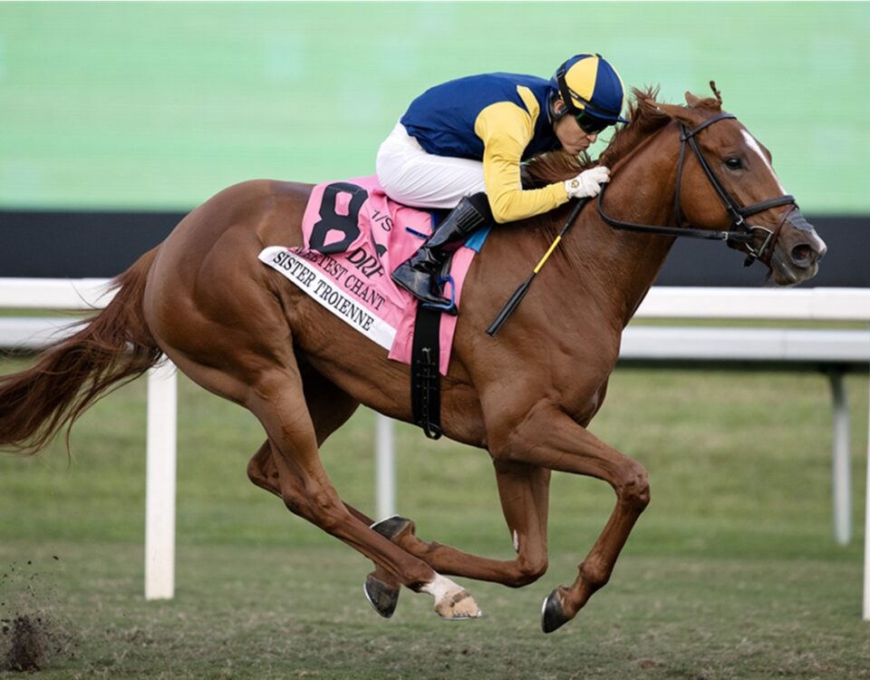 Sister Troienne - Sweetest Chant Stakes presentado por DRF - Barbara D. Livingston / Daily Racing Form