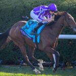 Sun Goddess (Ire) - Breeders' Cup Juvenile Fillies Turf G1 2026 - Keeneland - Barbara D. Livingston - Daily Racing Form