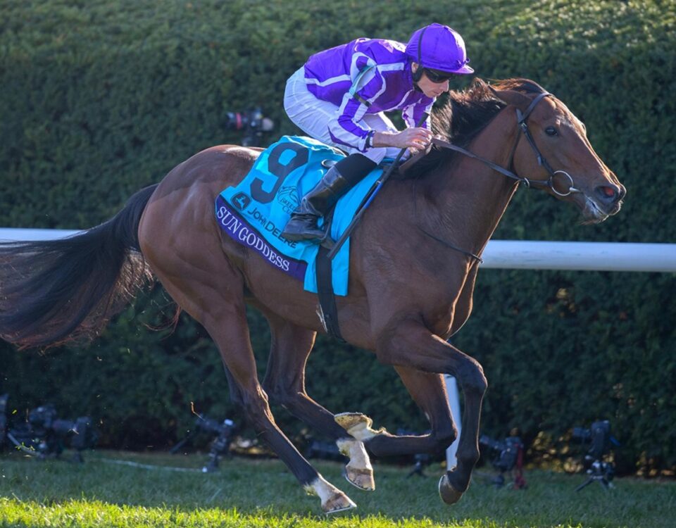 Sun Goddess (Ire) - Breeders' Cup Juvenile Fillies Turf G1 2026 - Keeneland - Barbara D. Livingston - Daily Racing Form