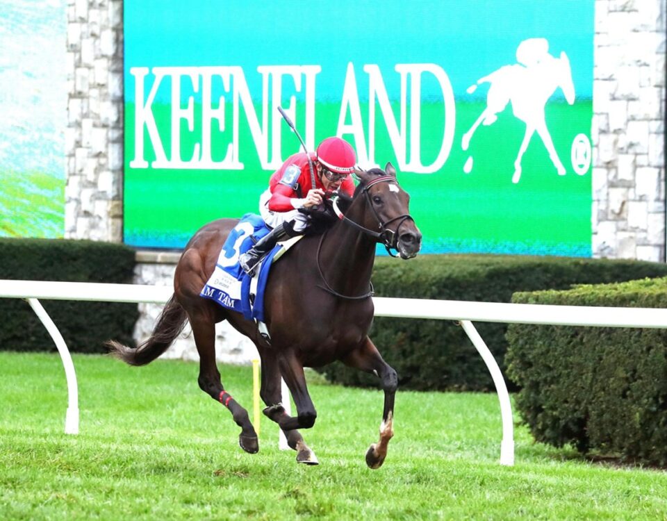 Tam Tam - Queen Elizabeth II Challenge Cup Stakes G1 - Keeneland - Coady Media