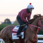The Puma - Barbara D. Livingston / Daily Racing Form