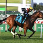 Third Coast - Hill Prince Stakes G3 - Belmont Park - Susie Raisher / Coglianese Photo