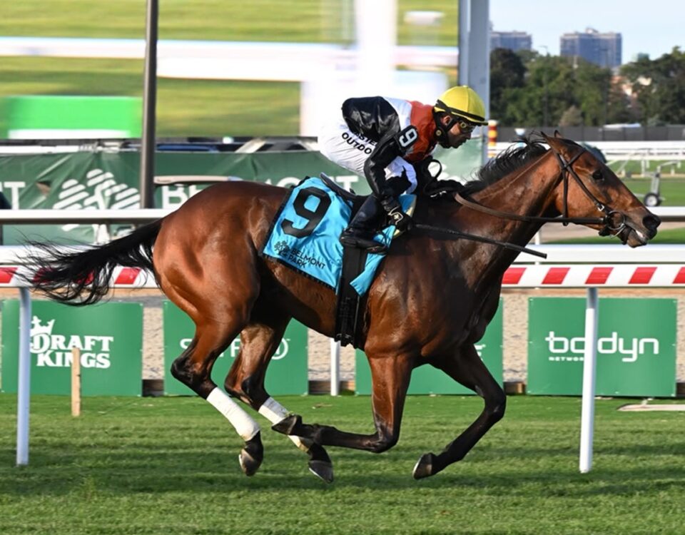 Third Coast - Hill Prince Stakes G3 - Belmont Park - Susie Raisher / Coglianese Photo