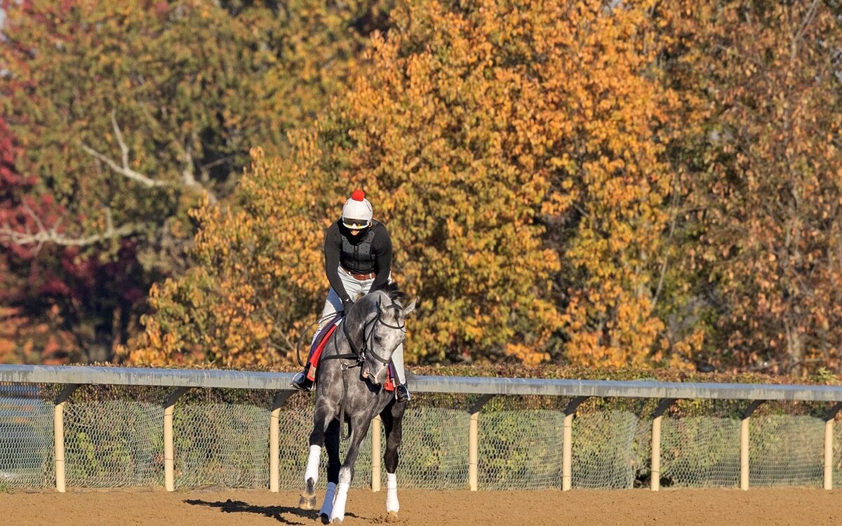 Breeders' Cup ejercicios, octubre 28 - Barbara D. Livingston, Daily Racing Form