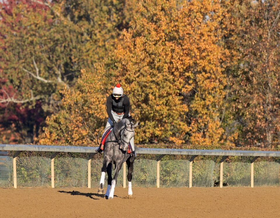 Breeders' Cup ejercicios, octubre 28 - Barbara D. Livingston, Daily Racing Form