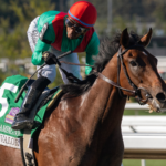 U.S.S. Valor - Champagne G1 - Barbara D. Livingston - Daily Racing Form