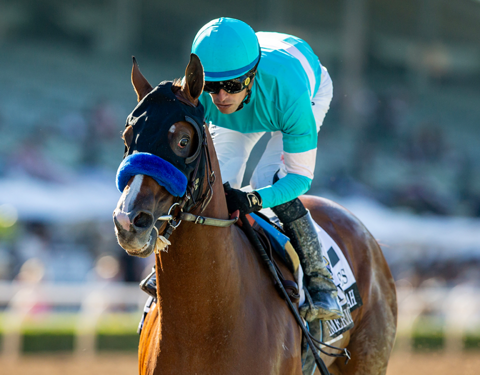 Hughes - American Pharaoh G1 - Benoit Photo