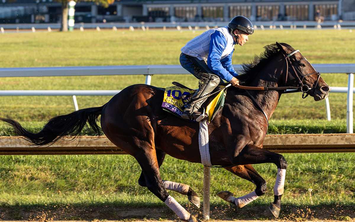 Sovereignty - Barbara D. Livingston - Daily Racing Form