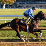 Sovereignty - Barbara D. Livingston - Daily Racing Form