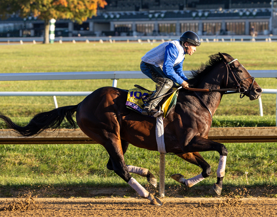 Sovereignty - Barbara D. Livingston - Daily Racing Form