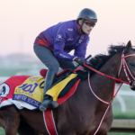 Forever Young (Jpn) - Daily Racing Form - Barbara D. Livingston