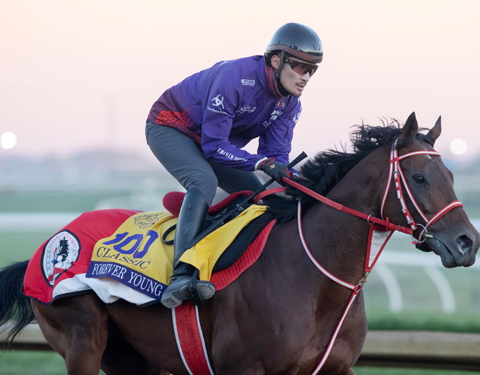 Forever Young (Jpn) - Daily Racing Form - Barbara D. Livingston