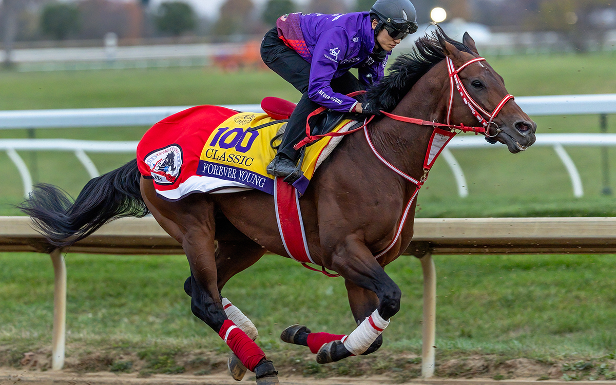 Forever Young (Jpn) - Debra Roma - Daily Racing Form