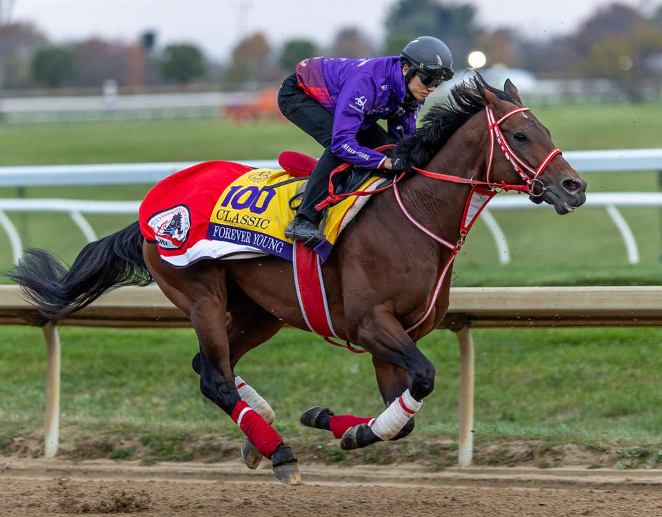 Forever Young (Jpn) - Debra Roma - Daily Racing Form
