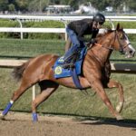 Usha - Barbara D. Livingston - Daily Racing Form