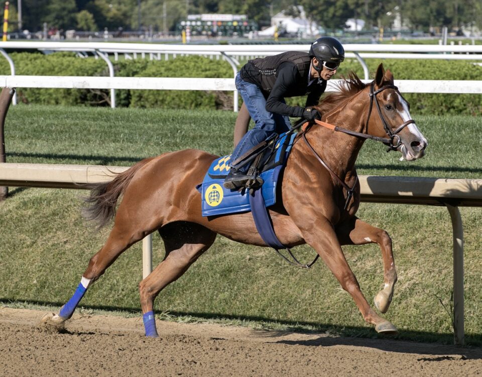 Usha - Barbara D. Livingston - Daily Racing Form