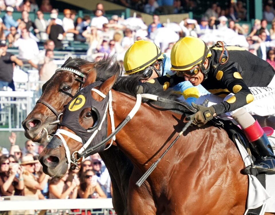 Willy D's - Hagyard Fayette Stakes G3 - Keeneland - Coady Media