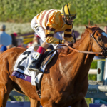Breeders' Cup Mile 2012 - Barbara D. Livingston - Daily Racing Form