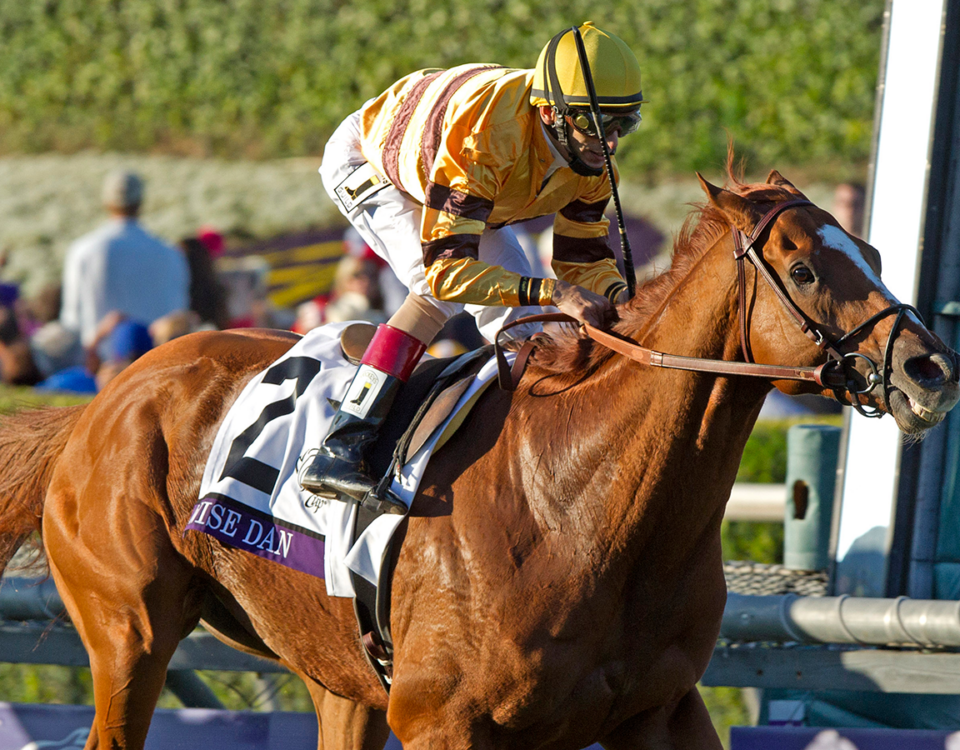 Breeders' Cup Mile 2012 - Barbara D. Livingston - Daily Racing Form